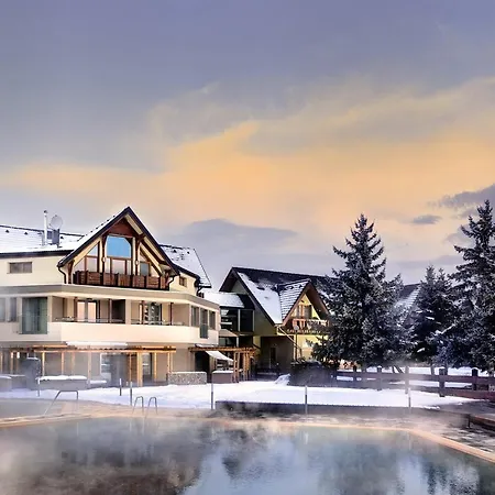 Hotel Besenova 3*